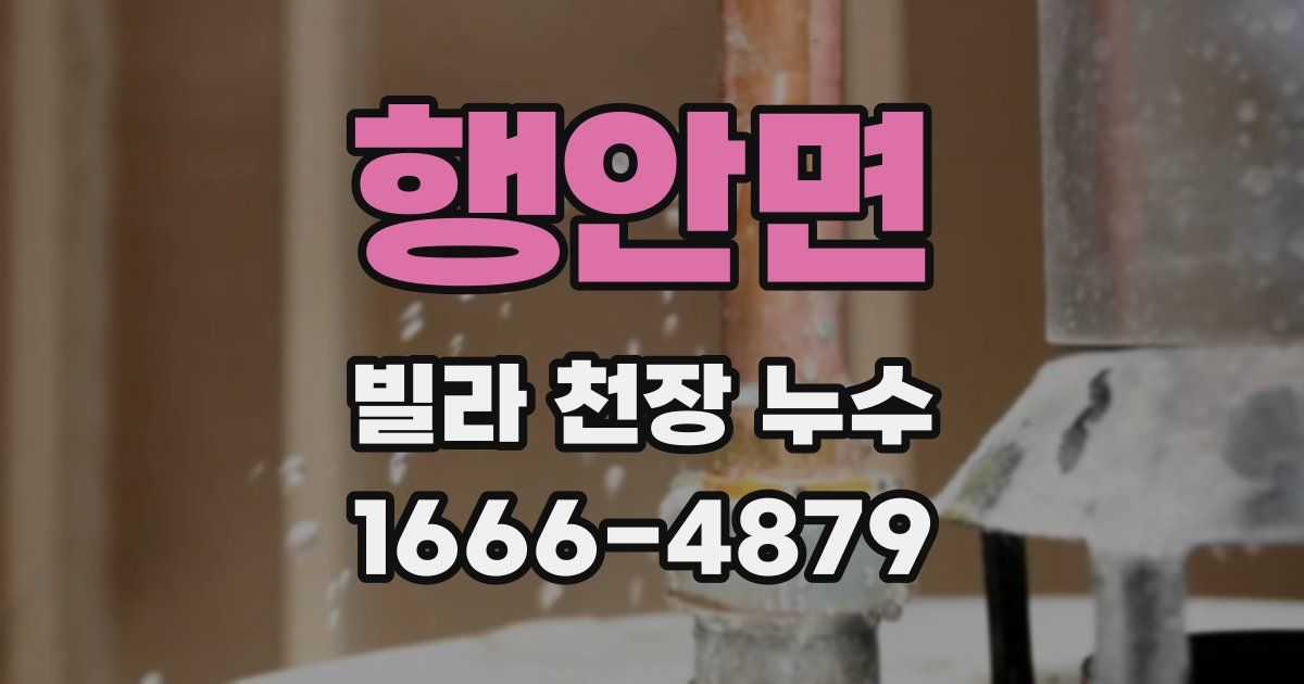 행안면 빌라 천장 누수