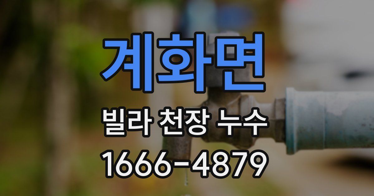 계화면 빌라 천장 누수