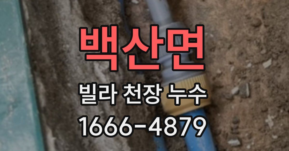 백산면 빌라 천장 누수