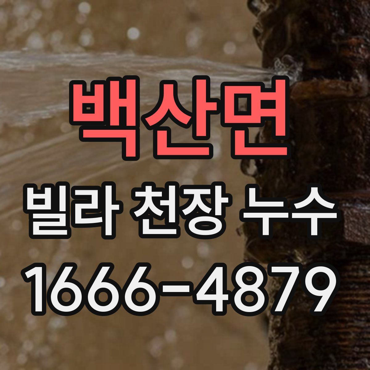 백산면 빌라 천장 누수