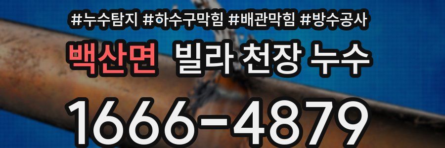 백산면 빌라 천장 누수