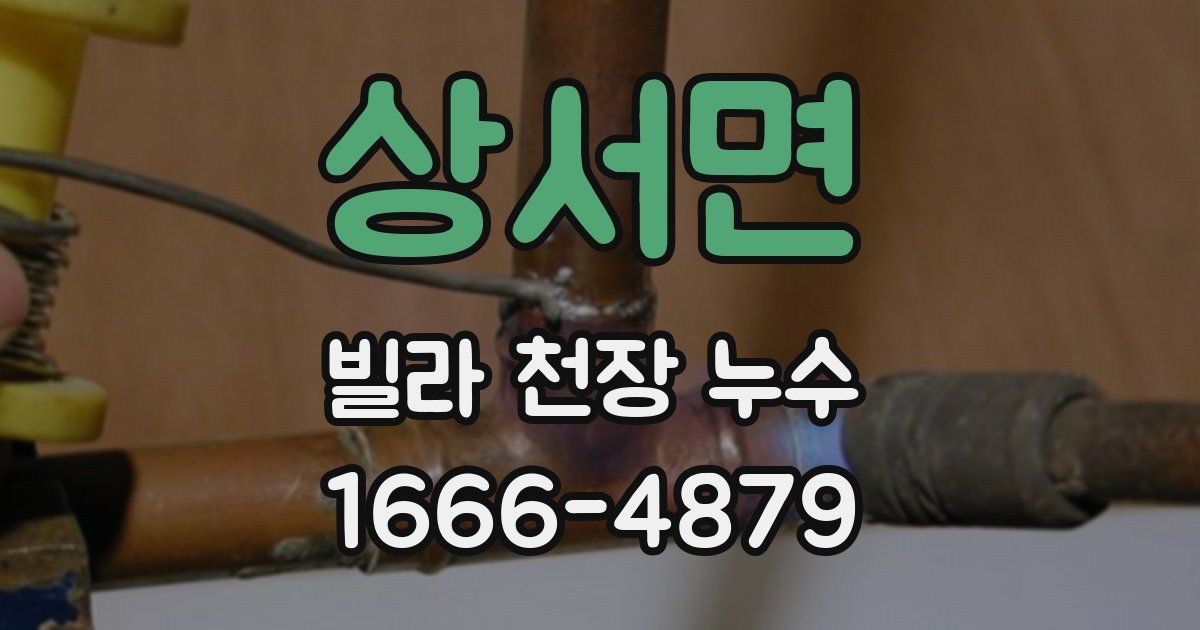 상서면 빌라 천장 누수