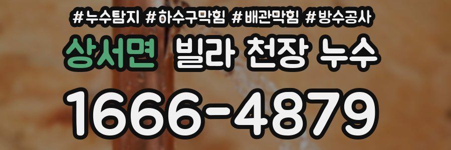 상서면 빌라 천장 누수