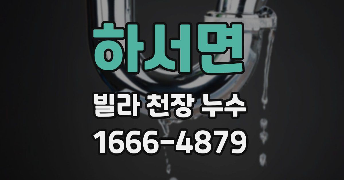 하서면 빌라 천장 누수