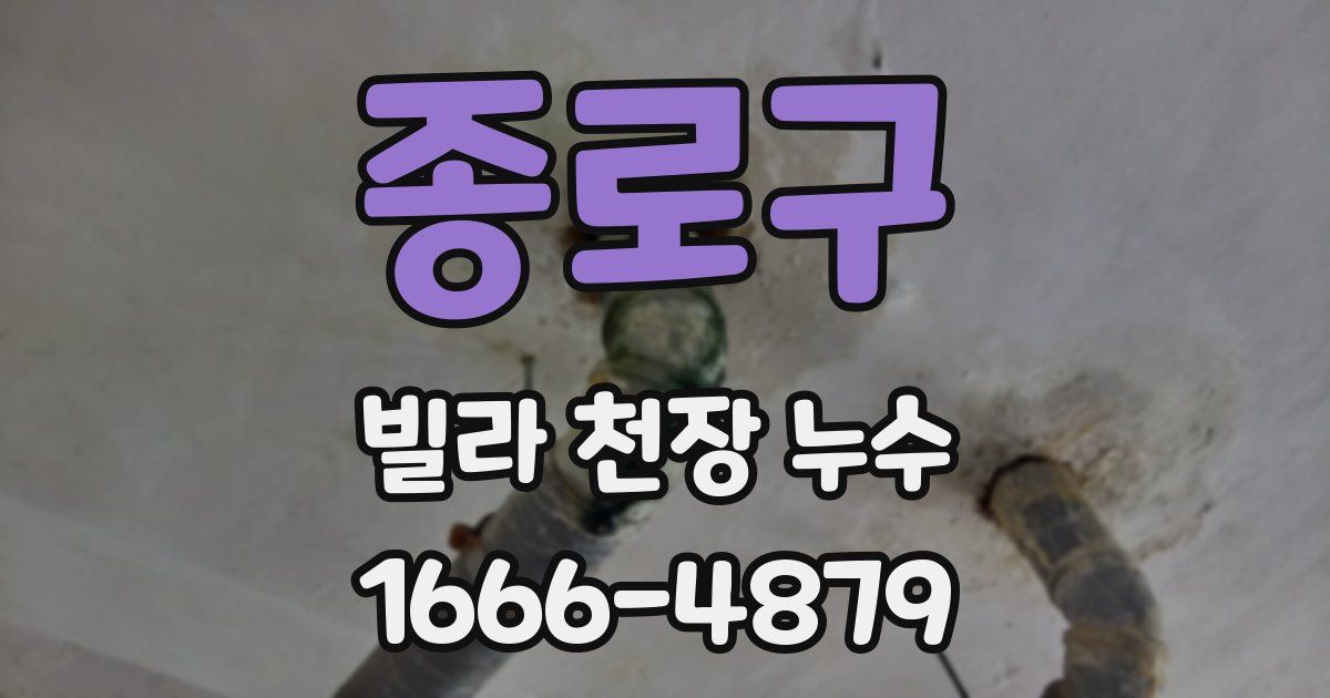 종로구 빌라 천장 누수