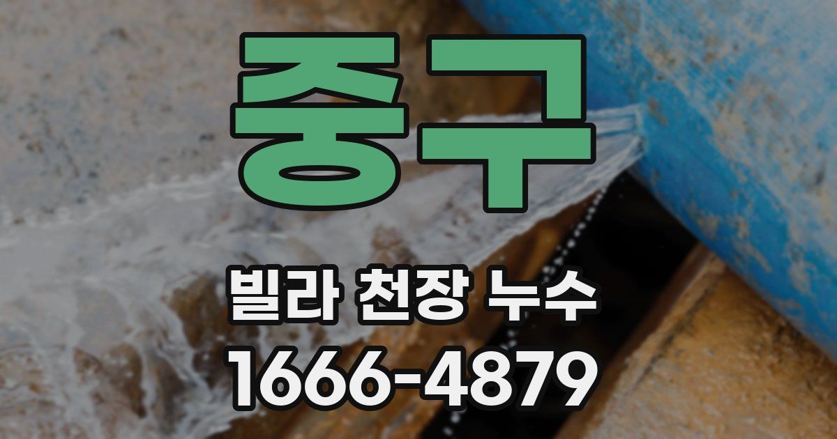 중구 빌라 천장 누수