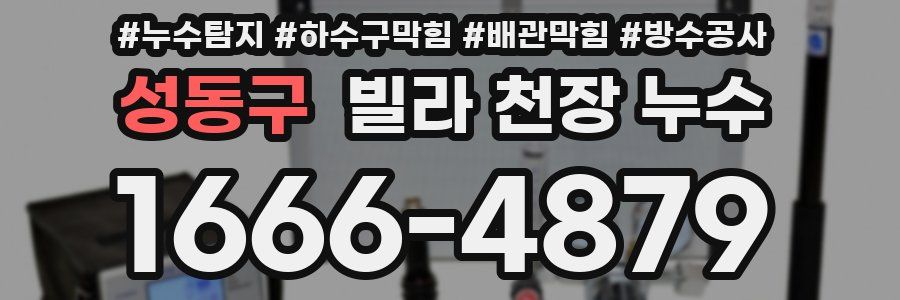 성동구 빌라 천장 누수