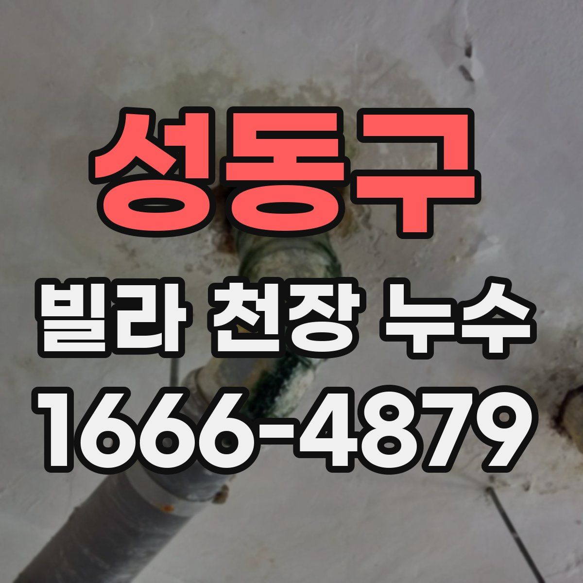 성동구 빌라 천장 누수
