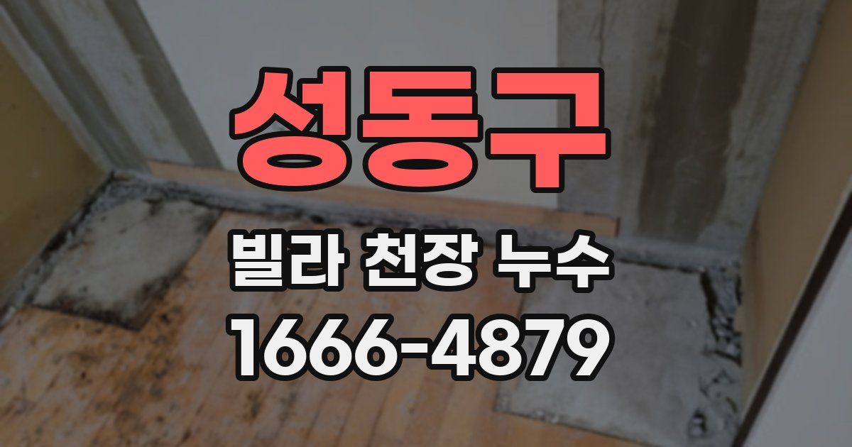 성동구 빌라 천장 누수
