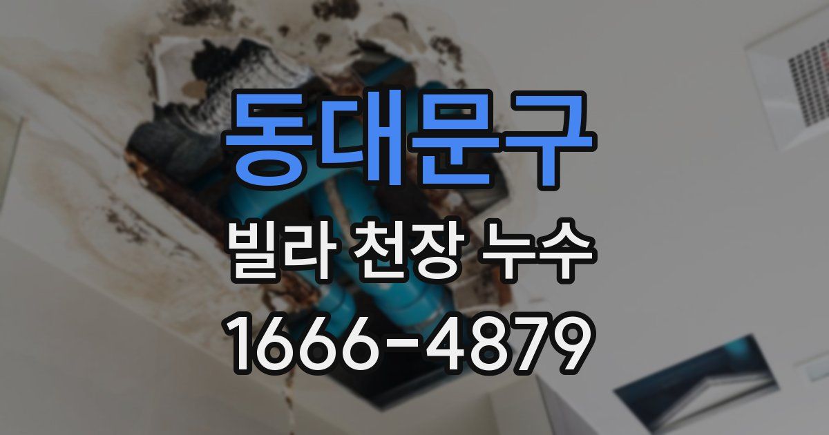 동대문구 빌라 천장 누수