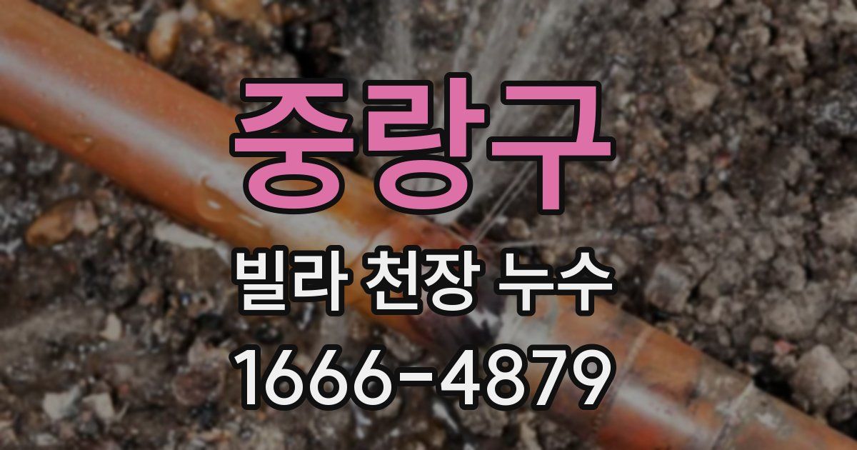 중랑구 빌라 천장 누수