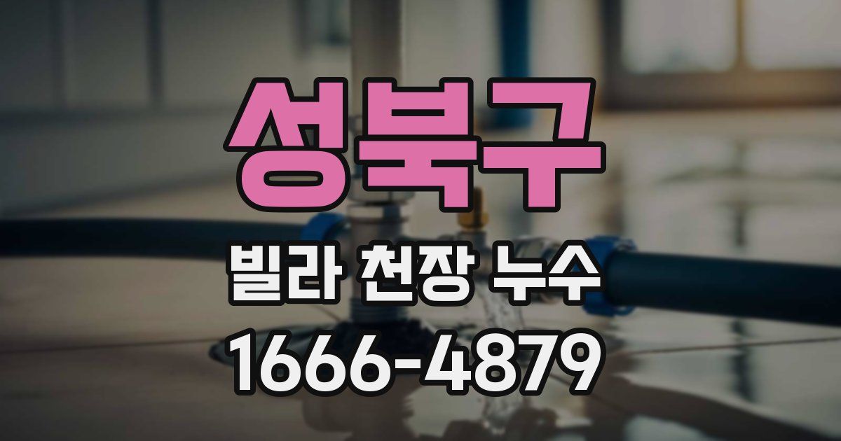 성북구 빌라 천장 누수
