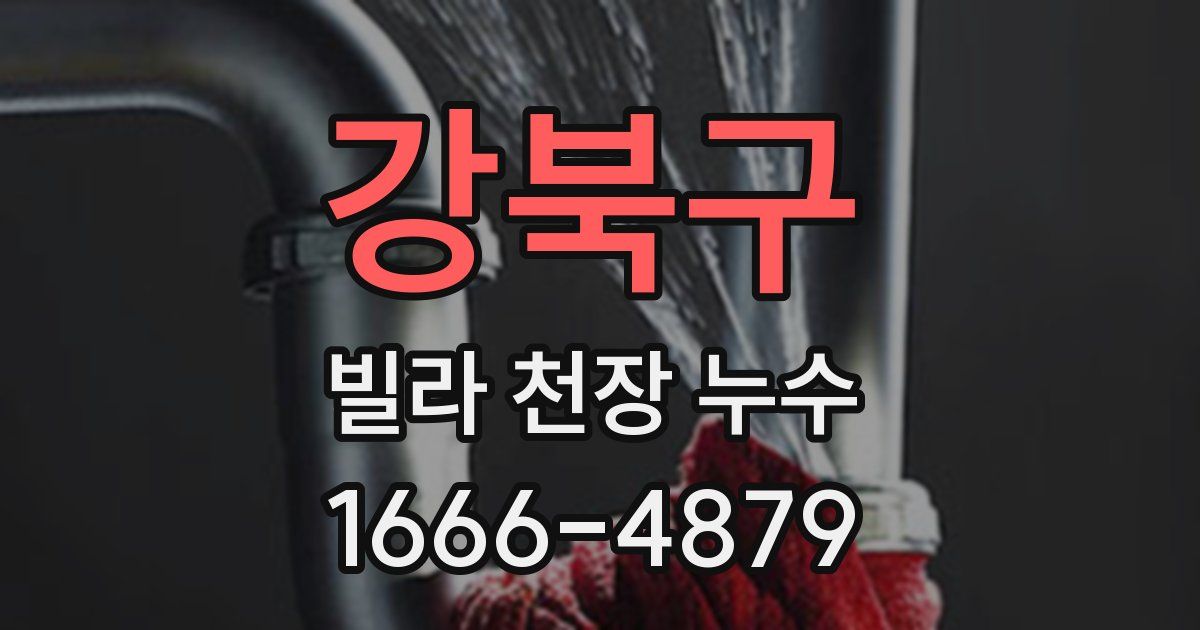 강북구 빌라 천장 누수
