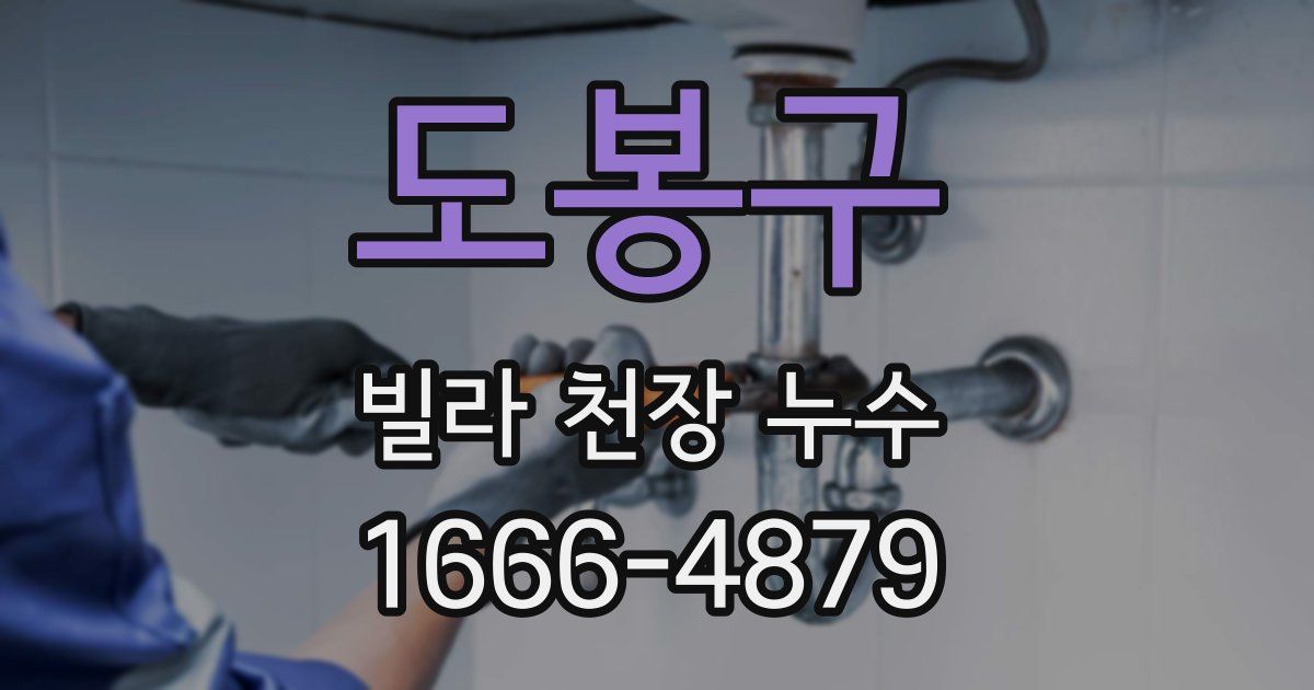 도봉구 빌라 천장 누수