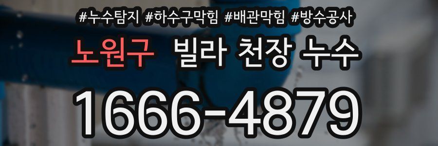 노원구 빌라 천장 누수