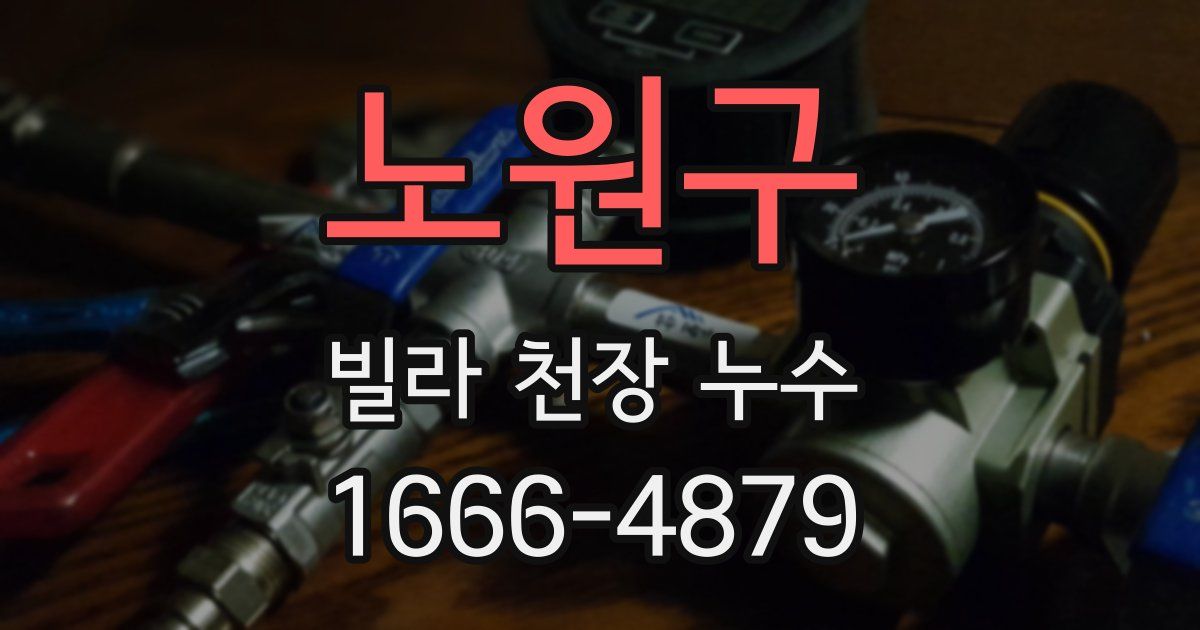노원구 빌라 천장 누수