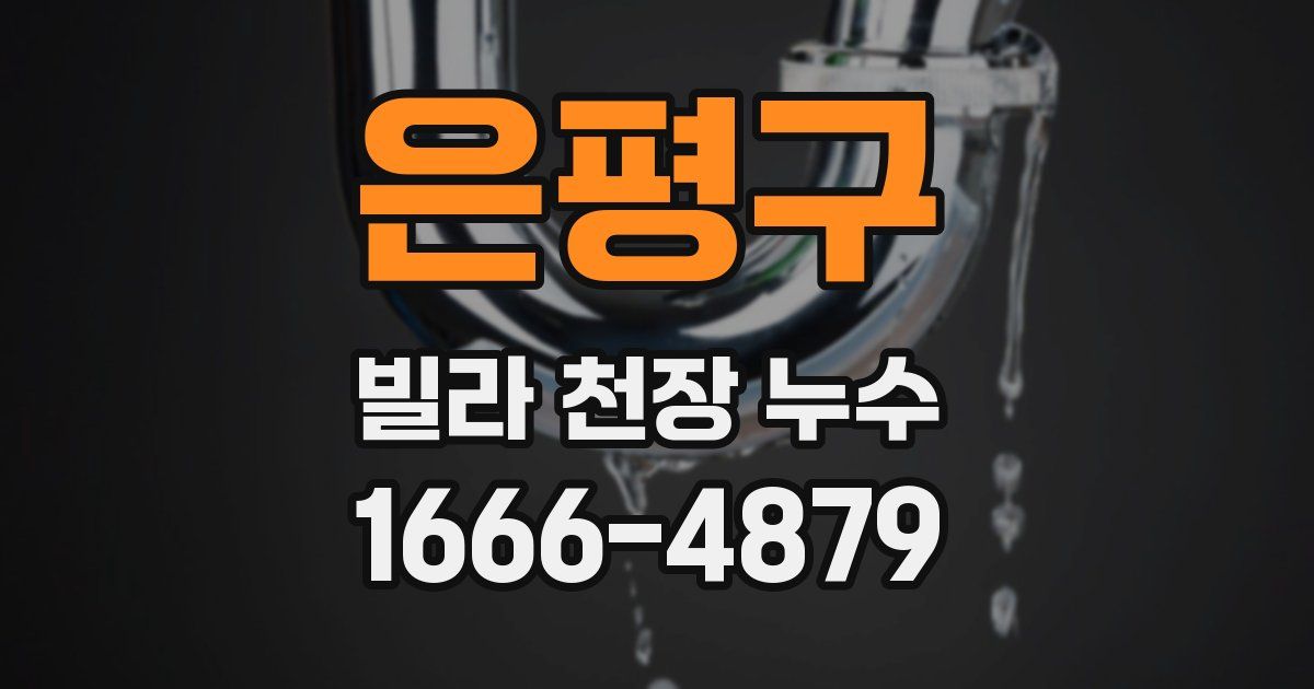 은평구 빌라 천장 누수