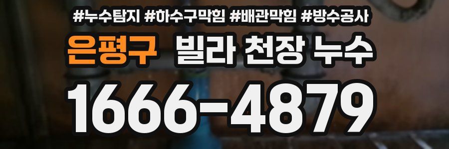 은평구 빌라 천장 누수