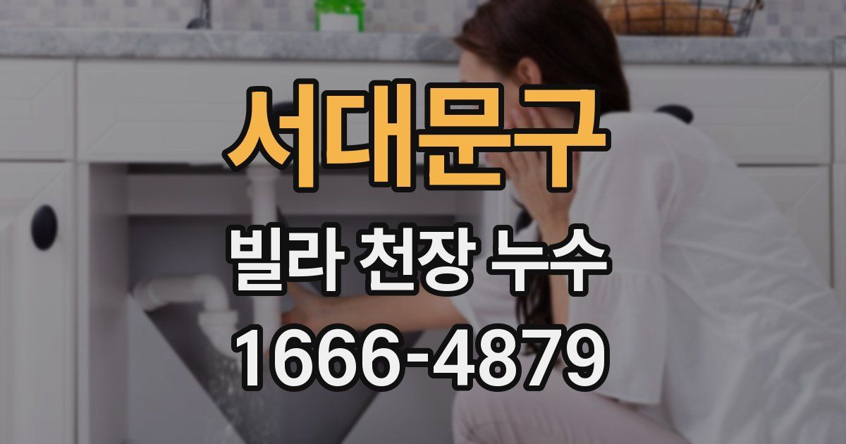 서대문구 빌라 천장 누수