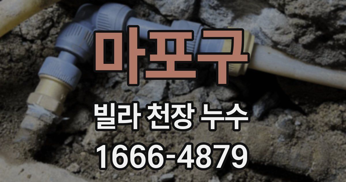 마포구 빌라 천장 누수