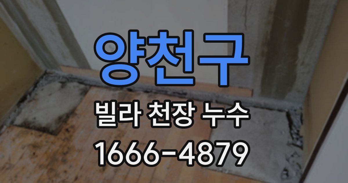 양천구 빌라 천장 누수