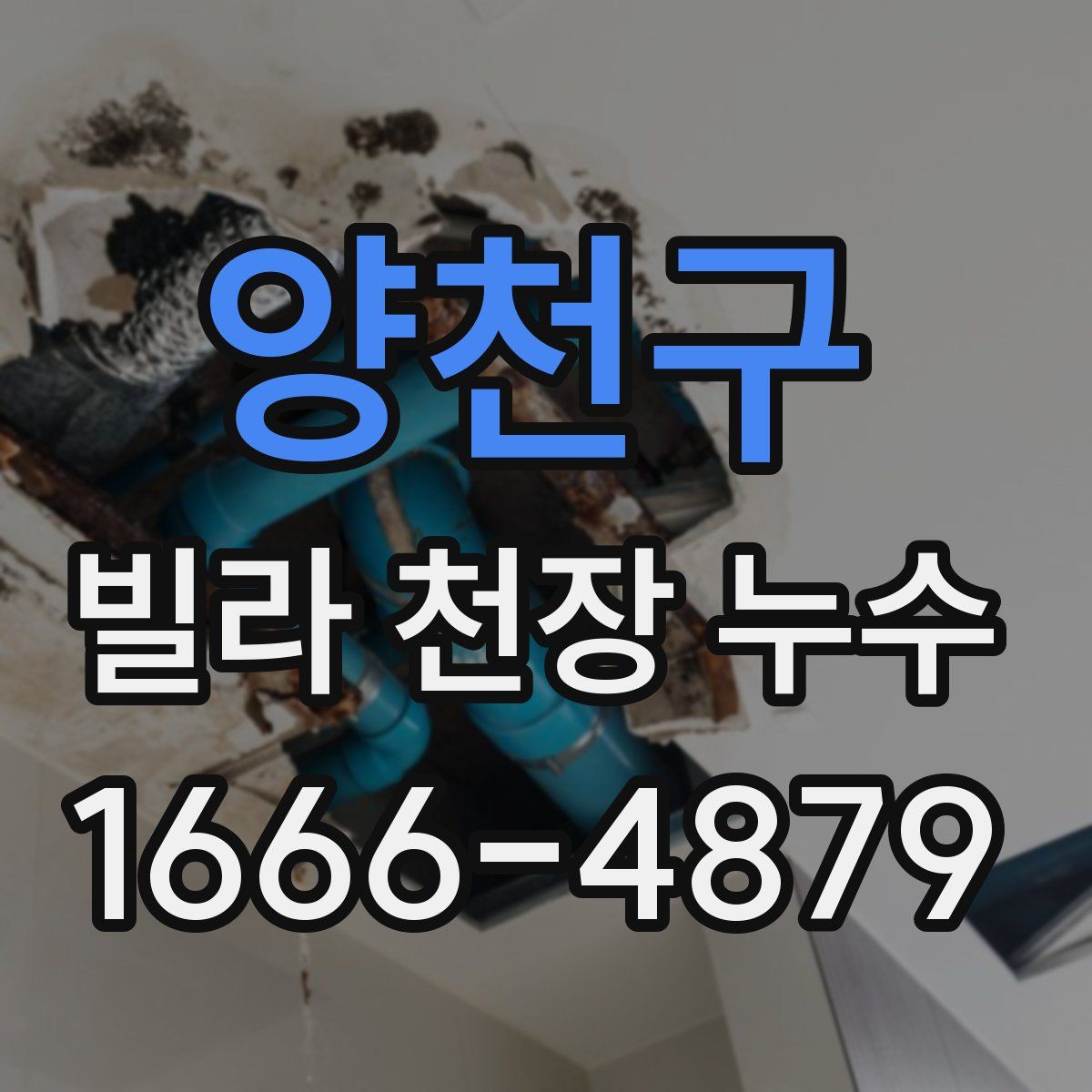 양천구 빌라 천장 누수