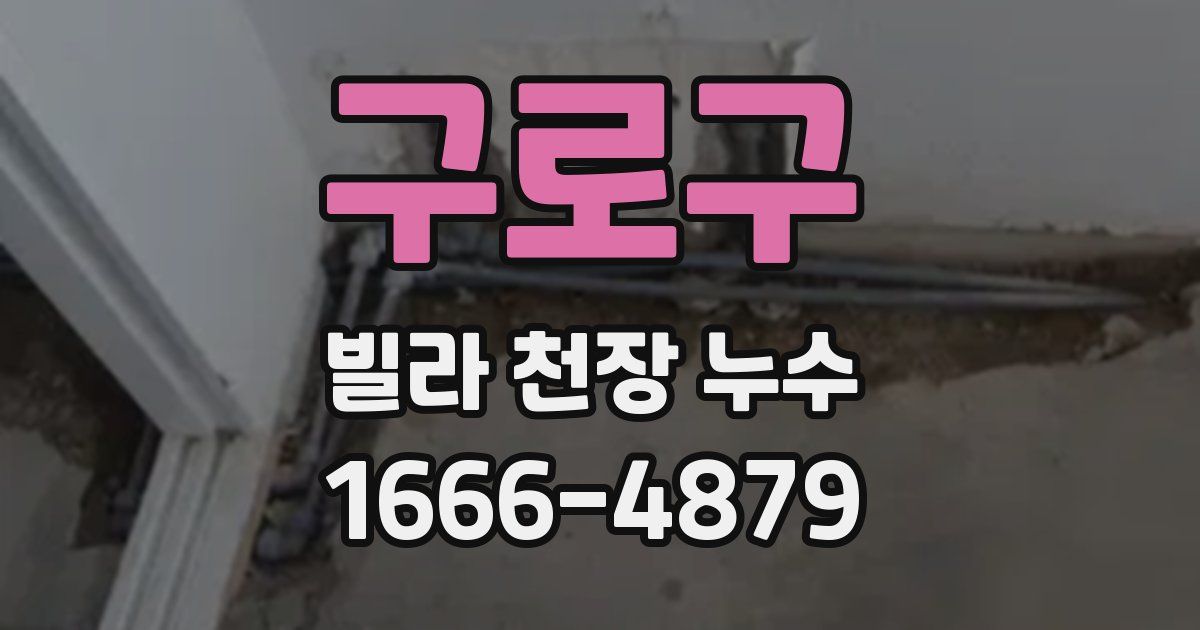 구로구 빌라 천장 누수