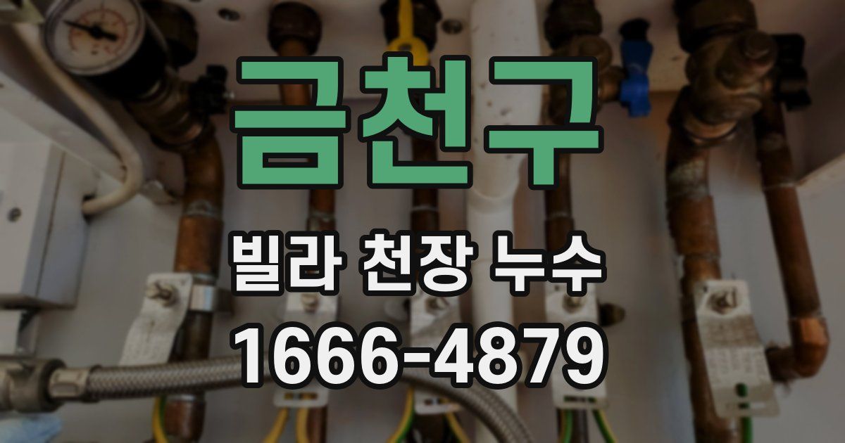 금천구 빌라 천장 누수