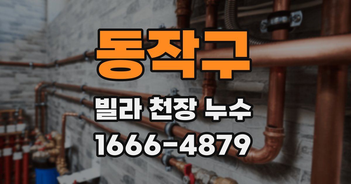 동작구 빌라 천장 누수
