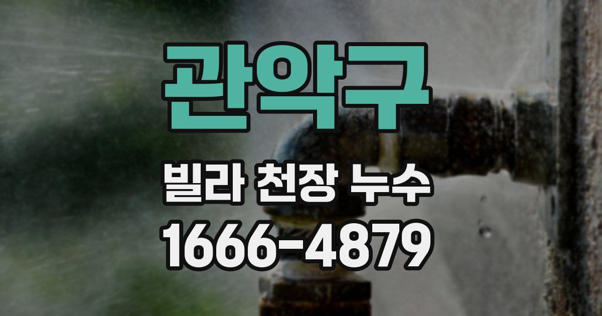 관악구 빌라 천장 누수