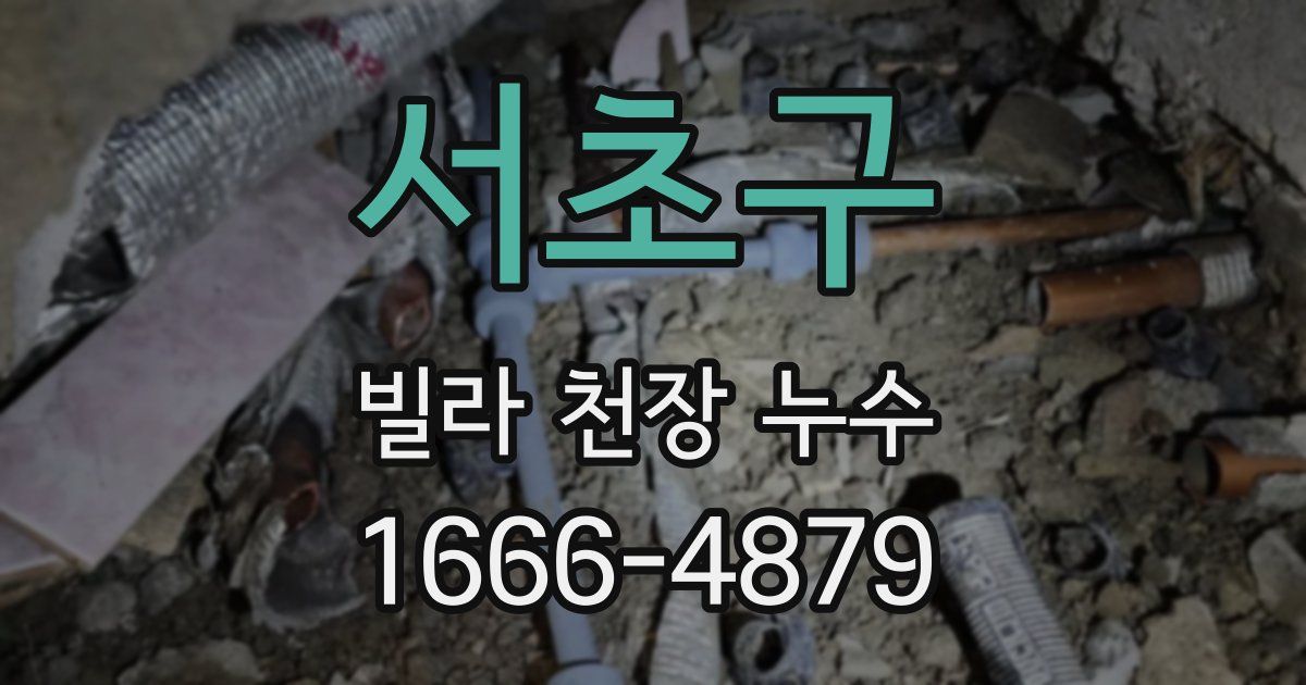 서초구 빌라 천장 누수
