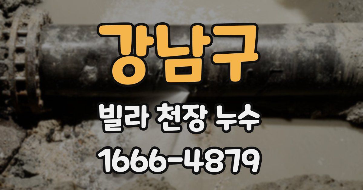 강남구 빌라 천장 누수
