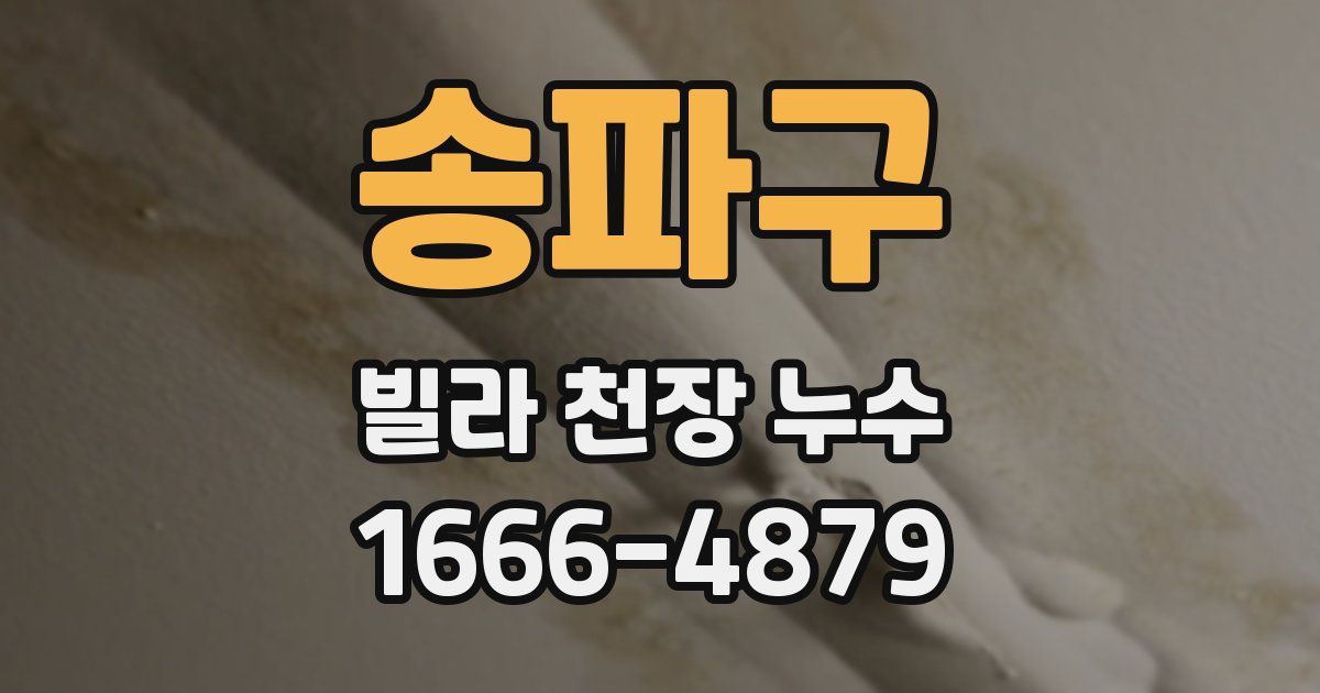 송파구 빌라 천장 누수