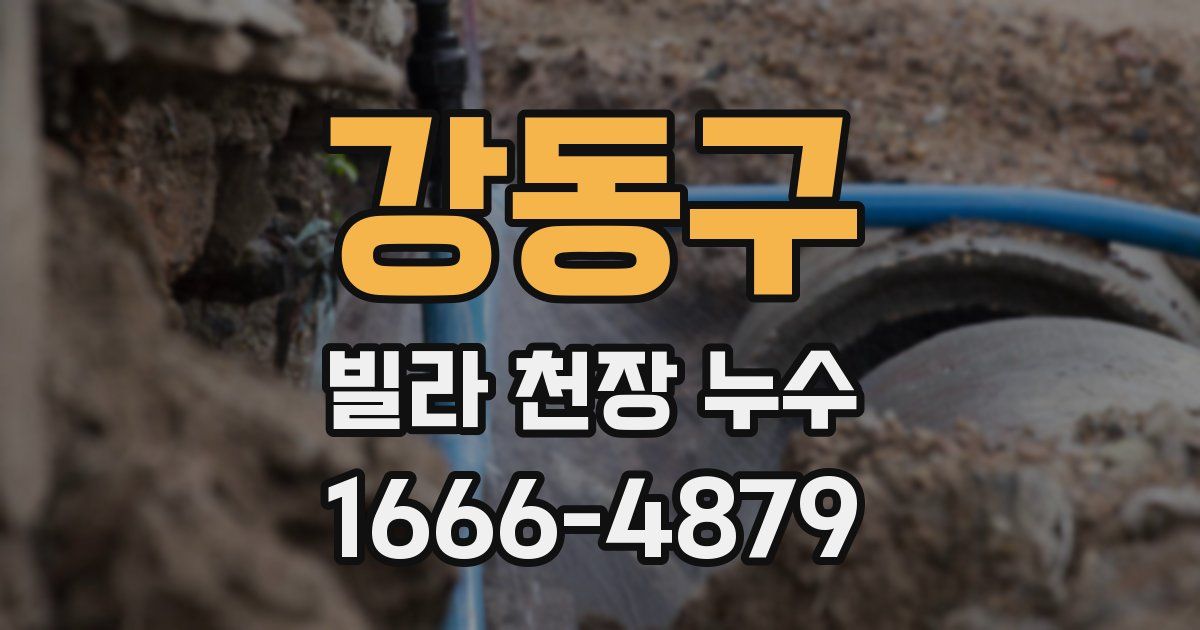 강동구 빌라 천장 누수