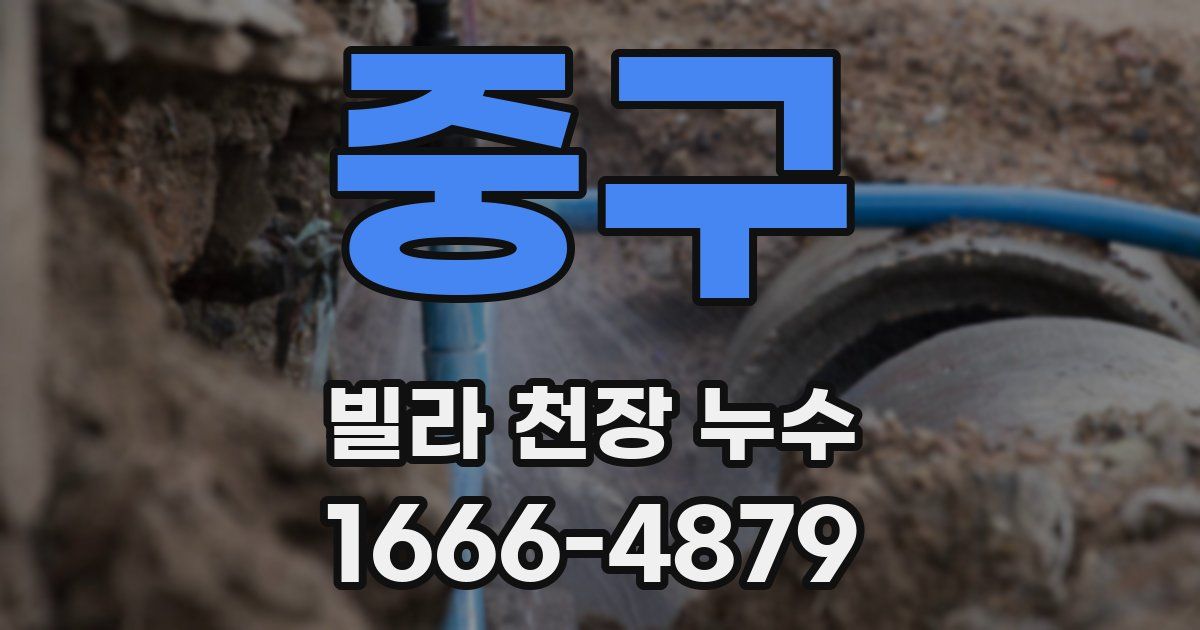 중구 빌라 천장 누수