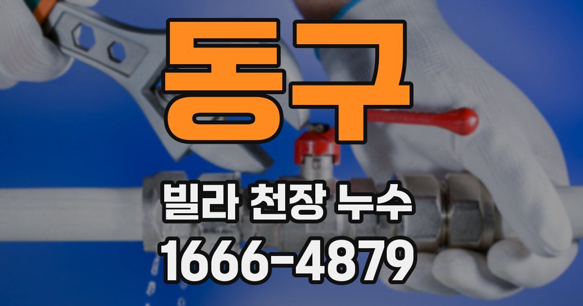 동구 빌라 천장 누수