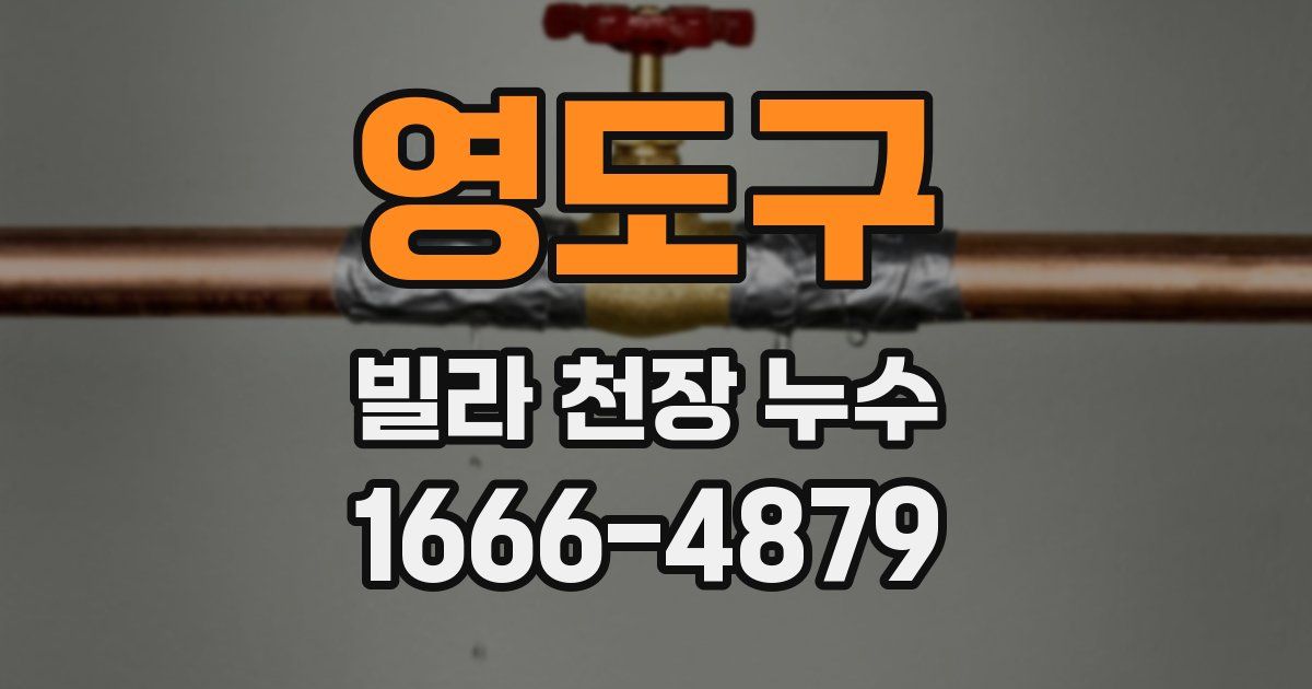 영도구 빌라 천장 누수