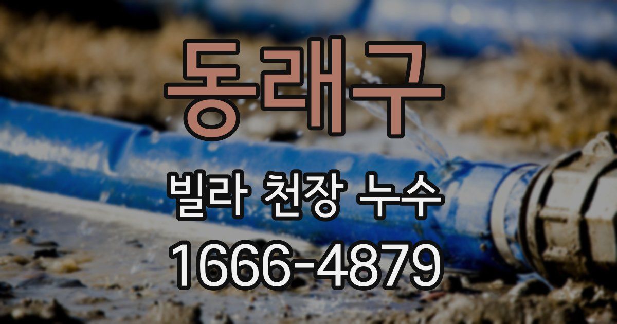 동래구 빌라 천장 누수