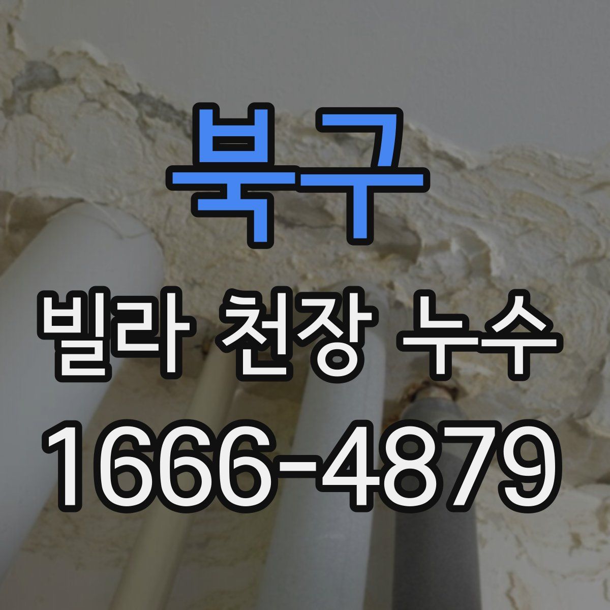 북구 빌라 천장 누수