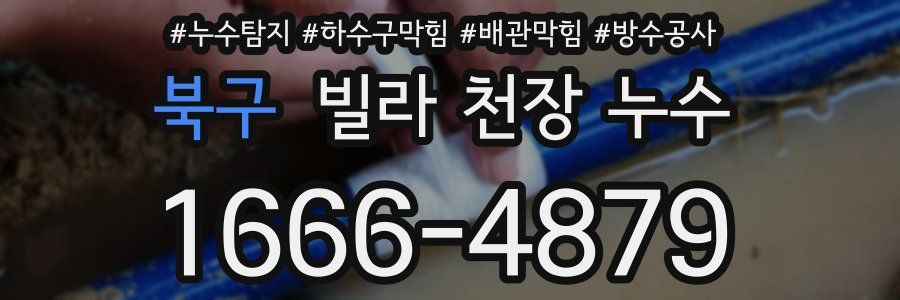 북구 빌라 천장 누수