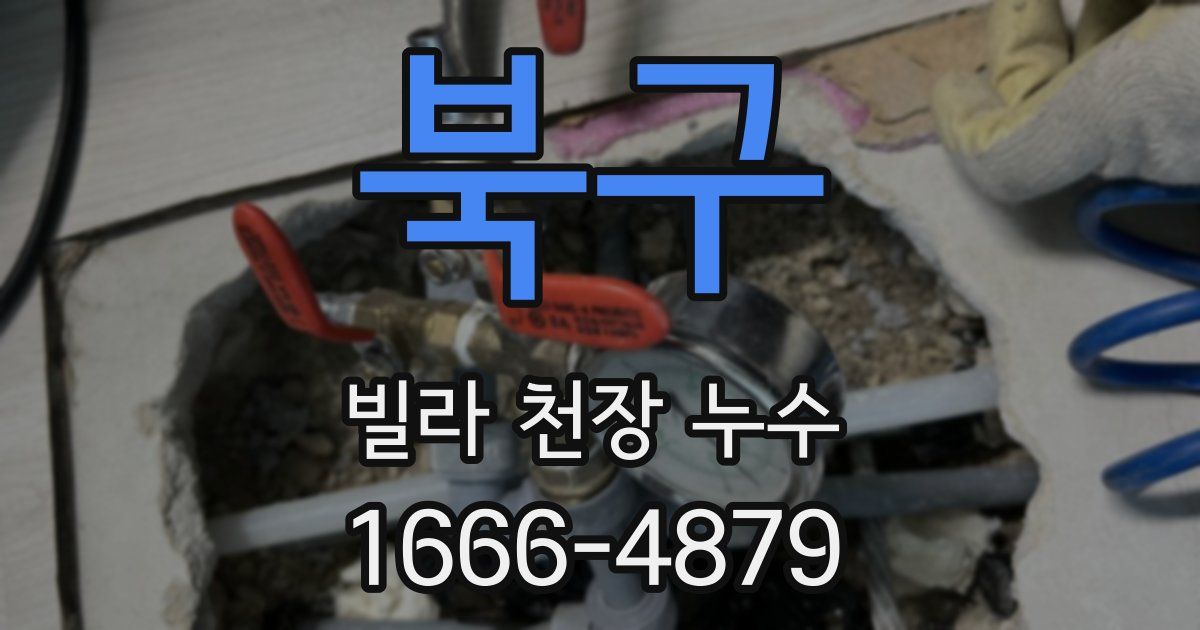 북구 빌라 천장 누수