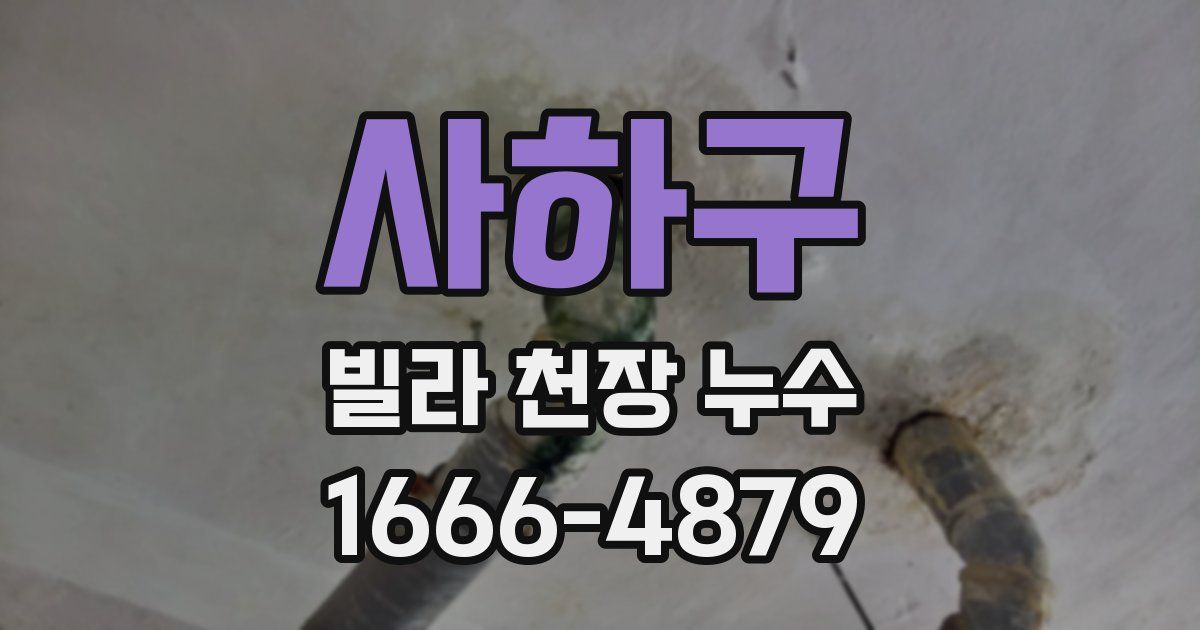 사하구 빌라 천장 누수