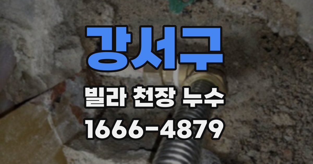 강서구 빌라 천장 누수