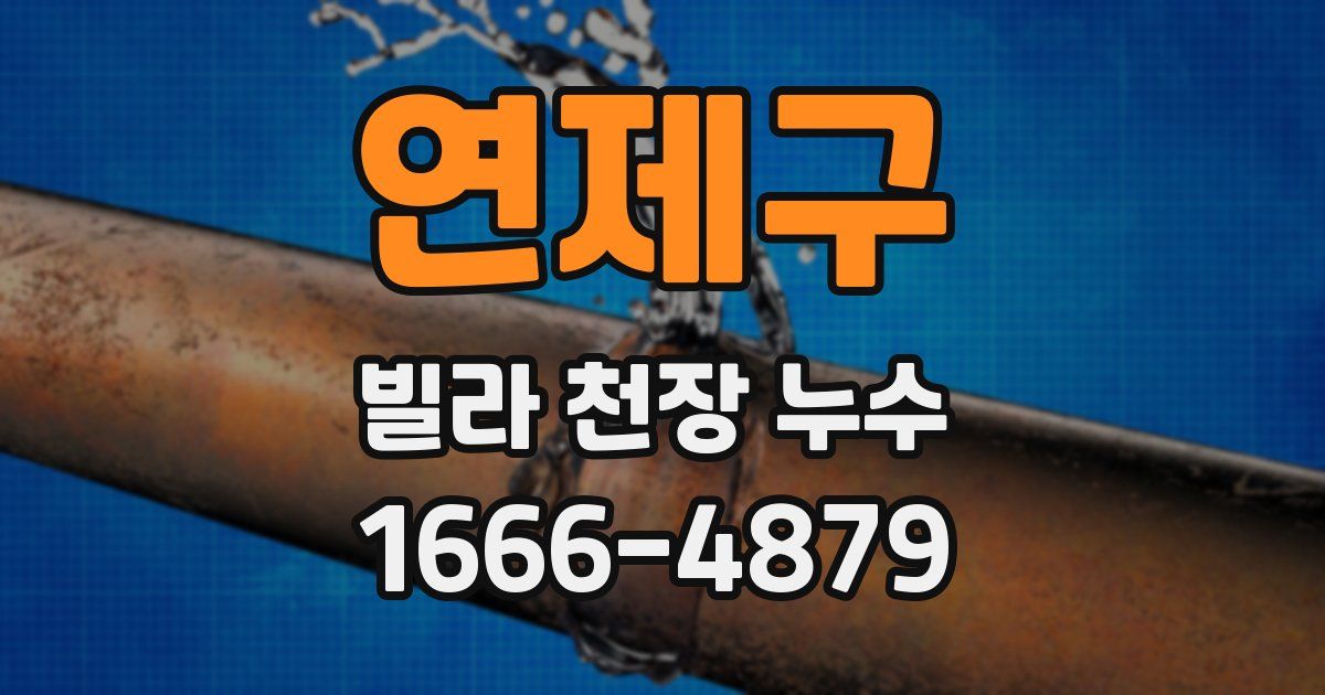 연제구 빌라 천장 누수