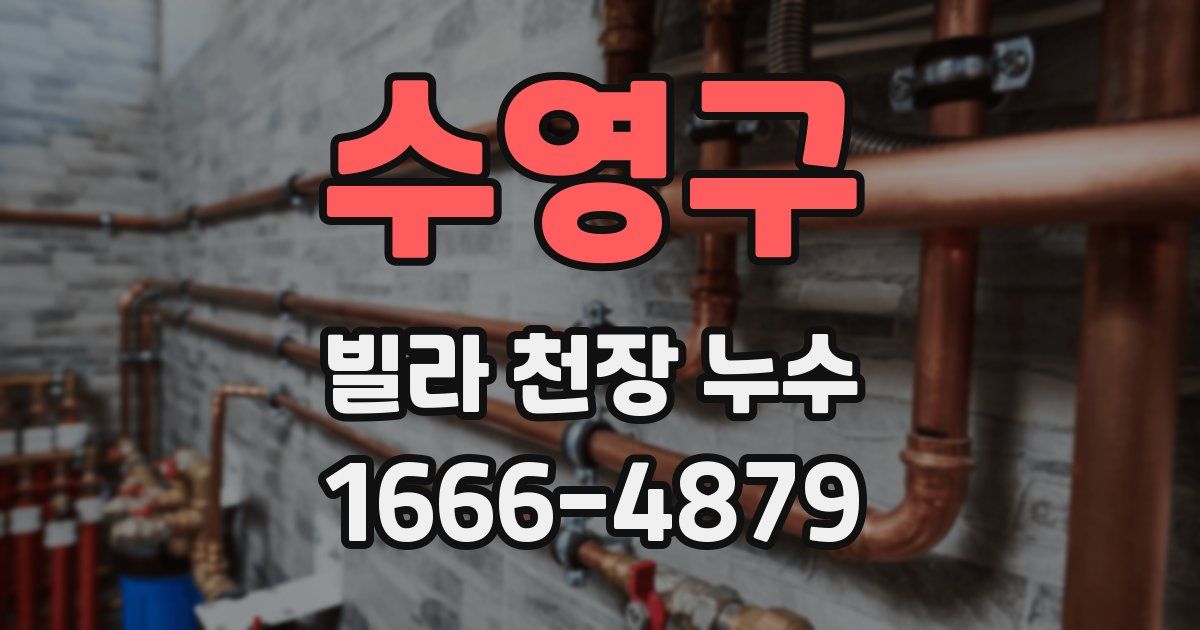 수영구 빌라 천장 누수