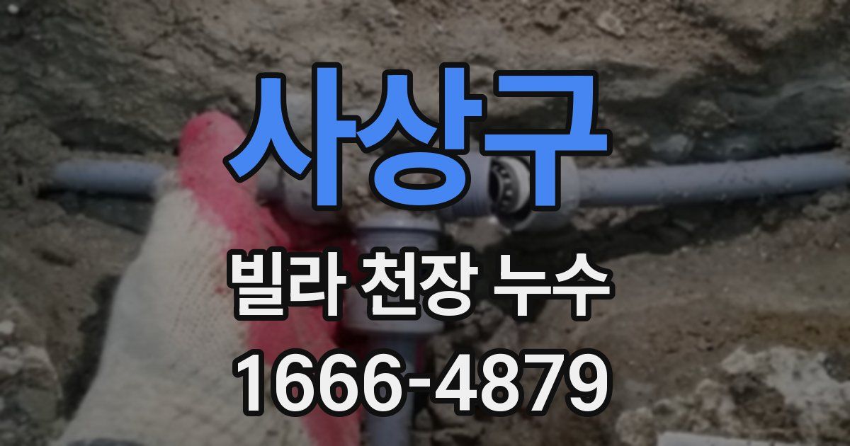 사상구 빌라 천장 누수