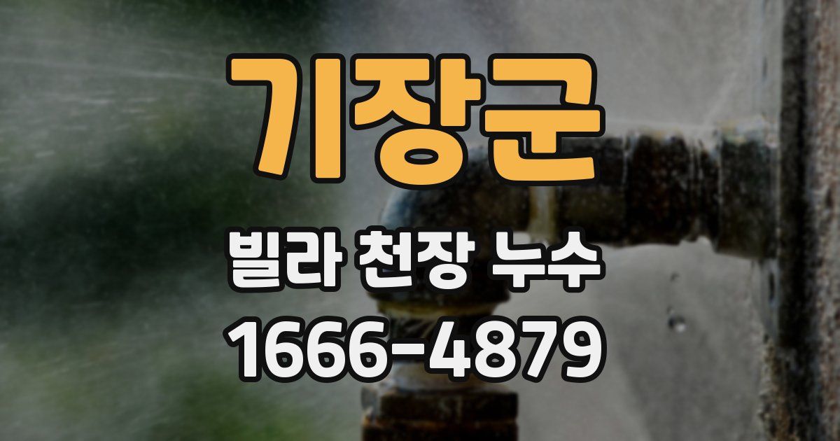 기장군 빌라 천장 누수