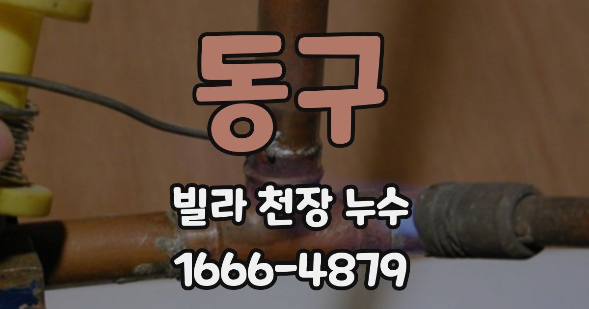 동구 빌라 천장 누수