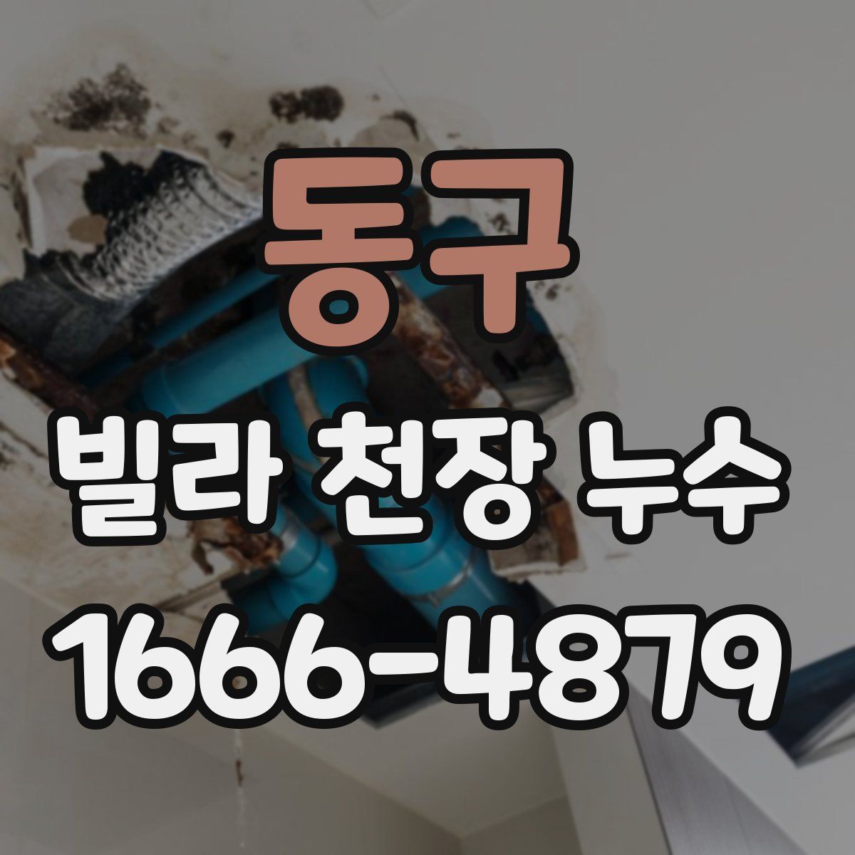 동구 빌라 천장 누수