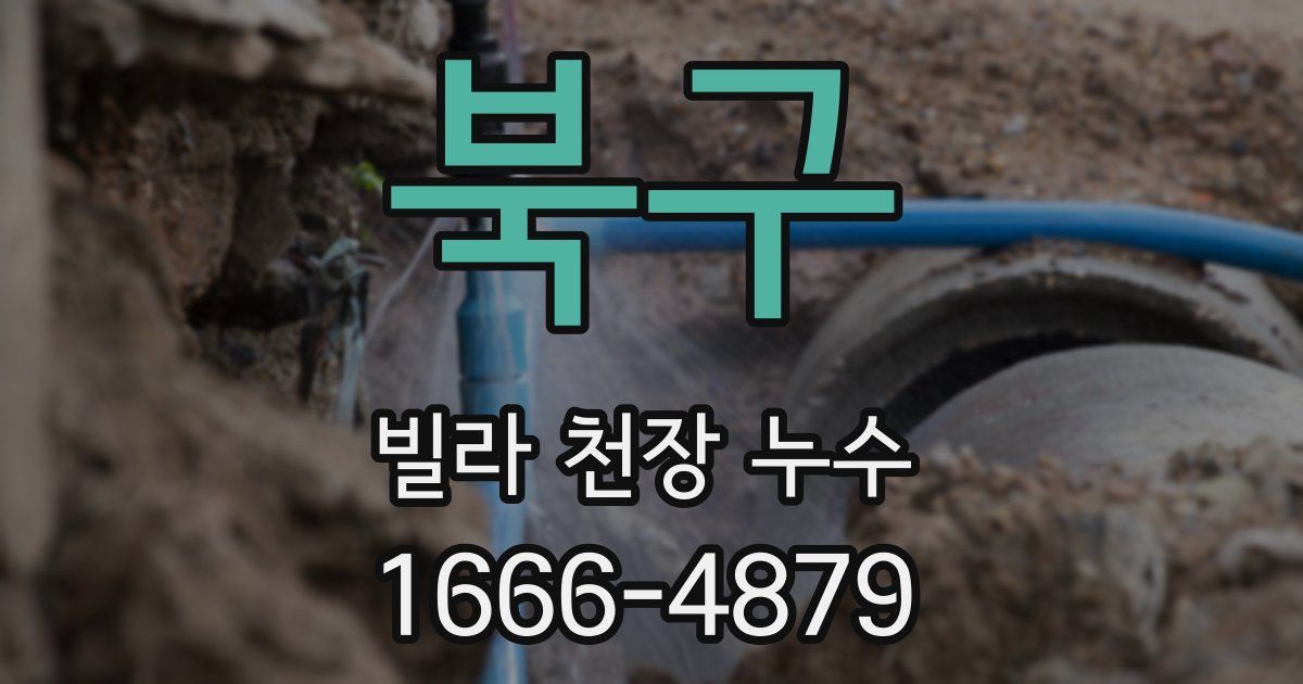 북구 빌라 천장 누수